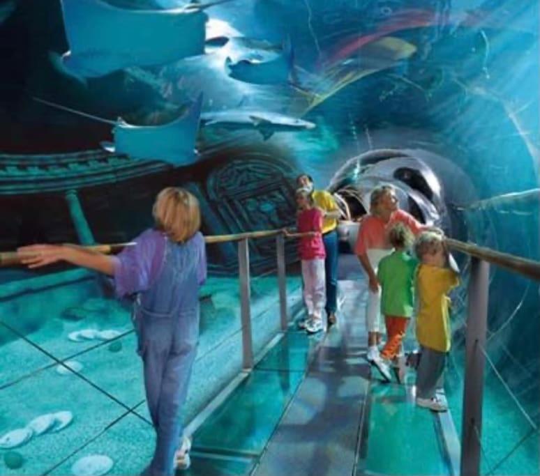 Disney Cocooning A 5 Minutes Du Parc Coupvray Exteriér fotografie